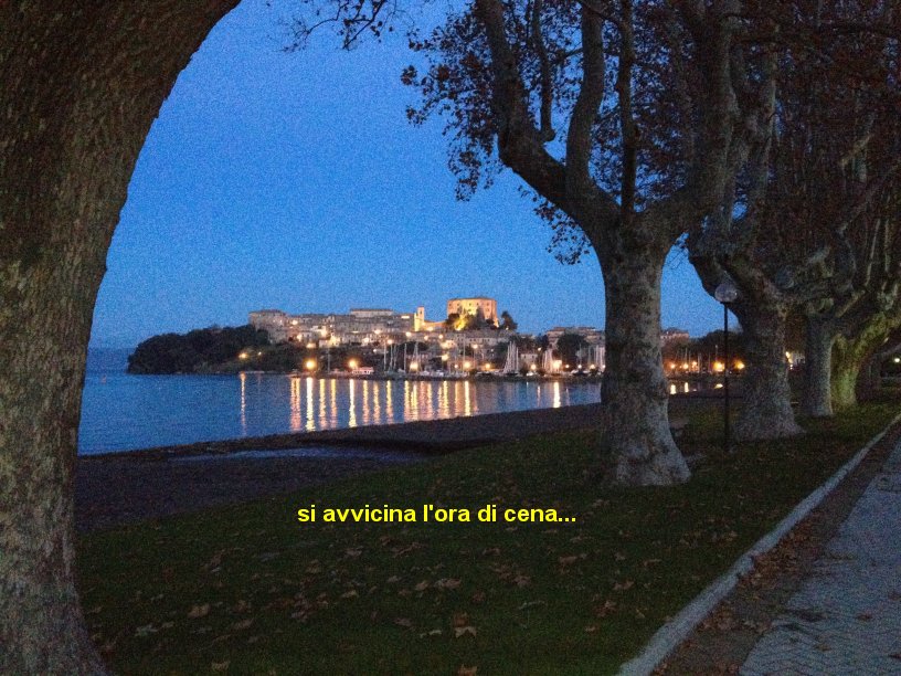 cena_20121117_0831a