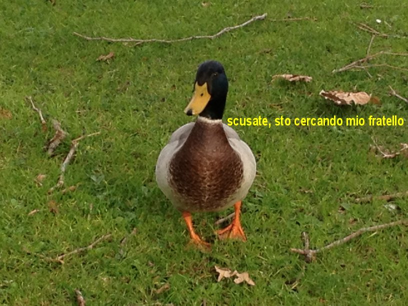 cena_20121117_0941a
